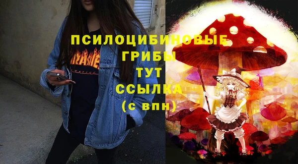 молекула духа Белоозёрский